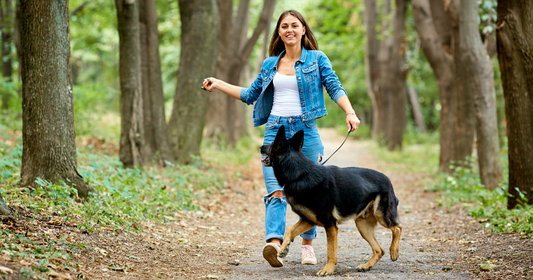 Is Your Dog’s Diet Harming the Planet? Here’s What New Research Reveals
