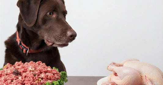 Raw Feeding Still Uses Pet Food Thinking – And It Shouldn’t